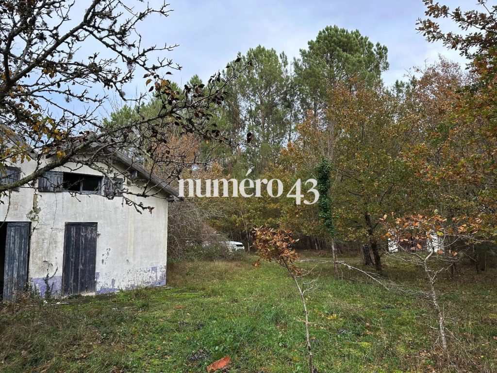 Maison à vendre Vendays-Montalivet